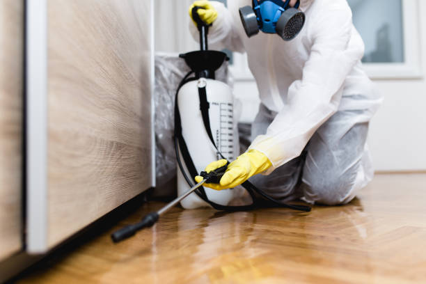 Best Affordable Pest Control Services  in Bangs, TX