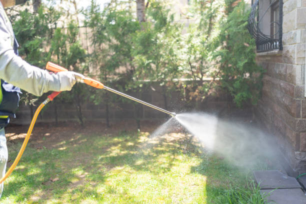 Best Cockroach Control Services  in Bangs, TX