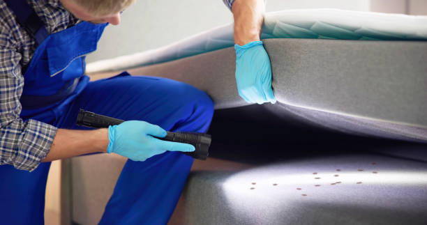 Best Residential Pest Control  in Bangs, TX